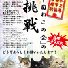 クラウドファンディングってどうやるの？から数カ月…「千曲ねこの会」挑戦します！！