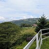 横根高原の生態系とシカの行方・・・『横根山・井戸湿原』