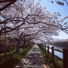 のぞみどおりの