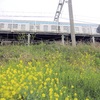 予讃線讃岐府中駅で菜の花と