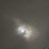 今晩は十三夜、栗名月です。