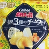 ポテチの新しい味の追求