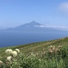 【礼文島・桃岩展望台】風渡る楽園！お花畑と海の共演(桃岩展望台登山口→知床)