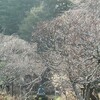 鎌倉・・・東慶寺～海