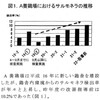 ＥＭ菌vsサルモネラ：鶏卵衛生事業におけるサルモネラ検出率の推移と疫学調査について（H23徳島県　畜産関係業績発表　発表集録）