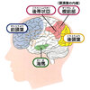 記憶があるという幸せ