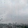 台風2号の影響で雨の1日