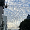 さっきの雲。