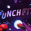 VRゲームレビュー拾壱[PUNCH FIT]