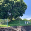 物見塚古墳  石岡市東大橋