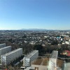 明けました。