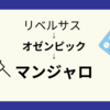マンジャロで痩せない話（個人的に）