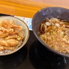 ミニ天丼とかけそば