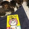 読書：猫ピッチャー12巻