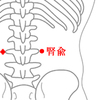 「ツボの紹介　第7回　「腎兪」」を公開いたしました