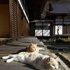 釈迦山 百濟寺