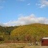 紅葉の一の橋・彼女の運転特訓なり！！