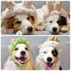 2023年もありがとうございました✨
