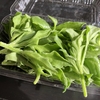 美味しい野菜