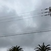 今日は、曇り☁️