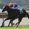 競馬初心者必見☆馬券予想🔥〜北九州記念〜小倉の地の短距離戦！