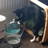 ワクチン接種