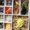 和食お弁当　いろどりがいい！！