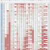 新型コロナウイルス、国別・人口あたり新規感染者数（8月18日現在） / List of COVID-19 cases per population by country, as of August 18