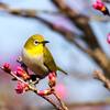 生成AIにイヤイヤ期はあるのか