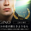 &GINO アクアモイス　を購入してみました。