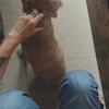 一つの引っかかり