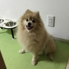 8/28 そぼろがなかなか起きないよ( ；∀；)