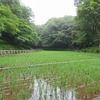 野山北公園（東京都武蔵村山市）