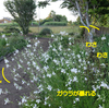 合間にボチボチ