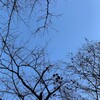 今日も模試を受けた
