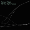  Roman Flügel / All The Right Noises