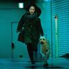 見えない目撃者（DVD）