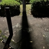 Photo No.2123 / 久しぶりの出社日