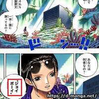 ワンピース考察 ひとつなぎの大秘宝の ヤバい正体 とは One Pieceの本当の意味とは 予想まとめ 空白の歴史 月から見た風景 存在しない説 ドル漫