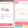 カナヘイのダイエットアプリ