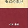 (青空文庫)小川未明の〝東京の羽根〟読んでみました