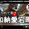【ぎふ町旅】第３２５弾＠加納愛宕町｜健康的で美味しい１階