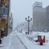 道東につかの間の冬が来ました