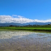 実家に行って来ました