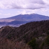 春の三つ峠から富士山20210418