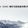 シェブロン（CVX）等から配当金を受け取りました