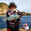 特級磯でも釣り方次第！釣れない時にどう攻略したのか？動画アリ