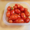 遂に最後の収穫〜激甘トマト栽培日記