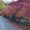 古処山登山