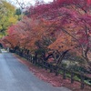 古処山（福岡県の低山）登山